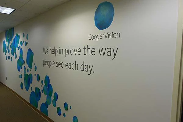 Wall Murals in Rochester
